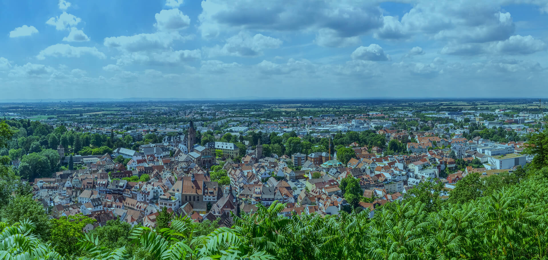 Hausverwaltung in Weinheim