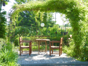 Mehr Lebensqualität: Lebendiger Sonnenschutz im Garten